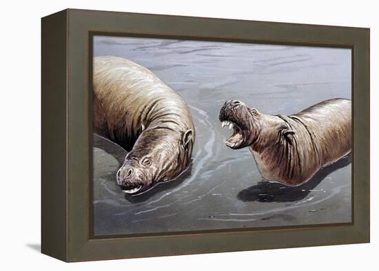 Moeritherium-null-Framed Premier Image Canvas