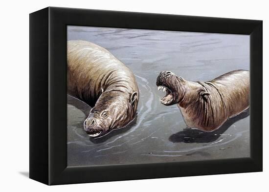 Moeritherium-null-Framed Premier Image Canvas