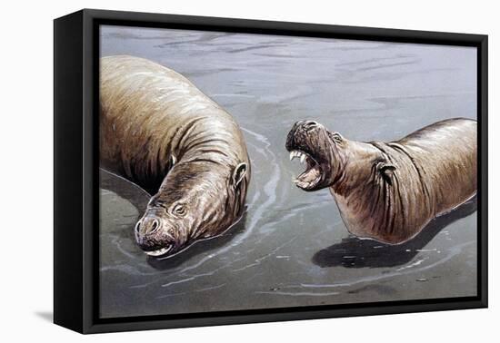 Moeritherium-null-Framed Premier Image Canvas