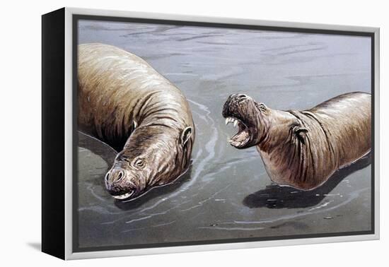 Moeritherium-null-Framed Premier Image Canvas