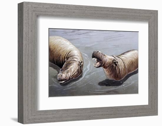 Moeritherium-null-Framed Photographic Print