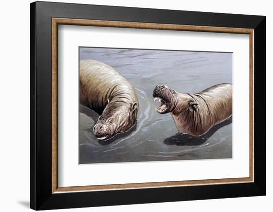 Moeritherium-null-Framed Photographic Print