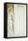 Moet and Chandon Menu, 1899-Alphonse Mucha-Framed Premier Image Canvas