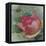 Mogador Garden 4A-Bill Jackson-Framed Premier Image Canvas