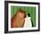 Moggies, 1994-Magdolna Ban-Framed Giclee Print