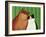 Moggies, 1994-Magdolna Ban-Framed Giclee Print