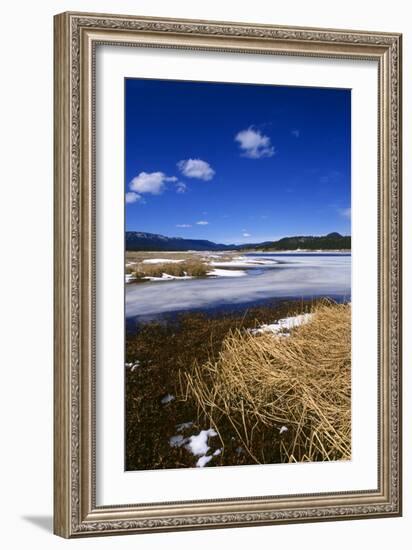 Mogollon National Park winter landscape-Charles Bowman-Framed Photographic Print