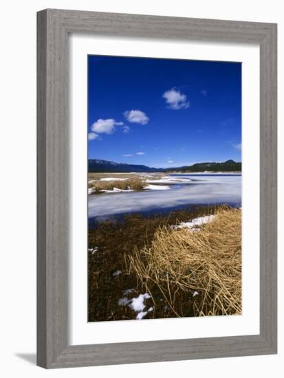 Mogollon National Park winter landscape-Charles Bowman-Framed Photographic Print