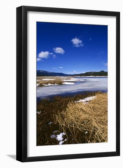 Mogollon National Park winter landscape-Charles Bowman-Framed Photographic Print