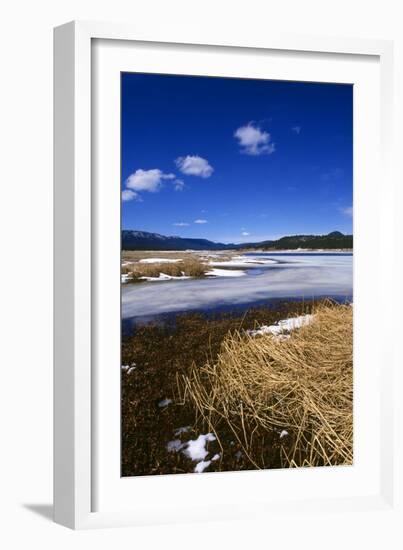 Mogollon National Park winter landscape-Charles Bowman-Framed Photographic Print