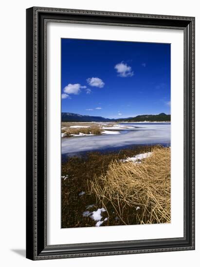 Mogollon National Park winter landscape-Charles Bowman-Framed Photographic Print