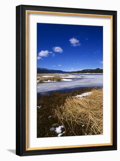 Mogollon National Park winter landscape-Charles Bowman-Framed Photographic Print