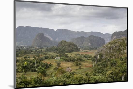 Mogotes in the Vinales Valley, UNESCO World Heritage Site, Pinar Del Rio, Cuba, West Indies-Yadid Levy-Mounted Photographic Print