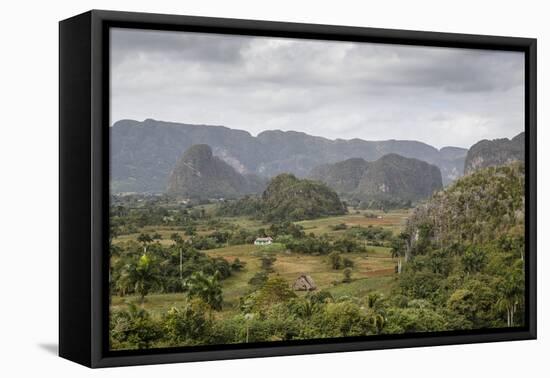 Mogotes in the Vinales Valley, UNESCO World Heritage Site, Pinar Del Rio, Cuba, West Indies-Yadid Levy-Framed Premier Image Canvas