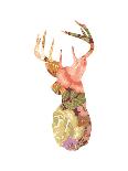 Floral Stag-Moha London-Framed Giclee Print