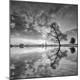 Photographic Print