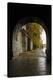 Stretched Canvas Print
