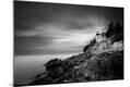 Photographic Print
