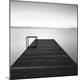 Premium Photographic Print