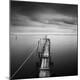 Premium Photographic Print