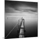 Premium Photographic Print