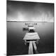 Premium Photographic Print