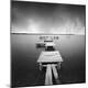 Premium Photographic Print