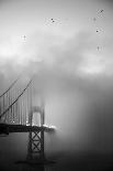 Golden Gate and Birds-Moises Levy-Photographic Print