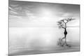 Photographic Print