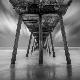 Premium Photographic Print