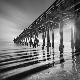 Premium Photographic Print