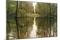 Photographic Print