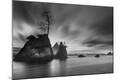 Photographic Print