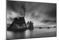 Photographic Print