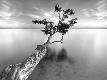 Premium Photographic Print