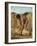 Moissonneurs dans la campagne romaine-Jules Elie Delaunay-Framed Giclee Print