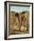 Moissonneurs dans la campagne romaine-Jules Elie Delaunay-Framed Giclee Print