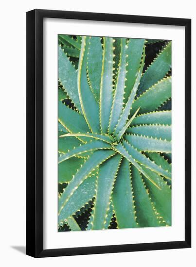 Mojave - Grow-Ella Lancaster-Framed Giclee Print