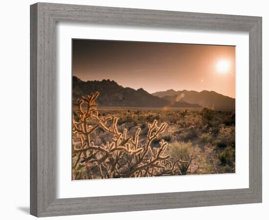 Mojave National Preserve, Granite Mountains in Background, California, USA-Alan Copson-Framed Photographic Print