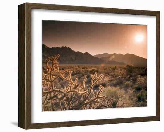 Mojave National Preserve, Granite Mountains in Background, California, USA-Alan Copson-Framed Photographic Print