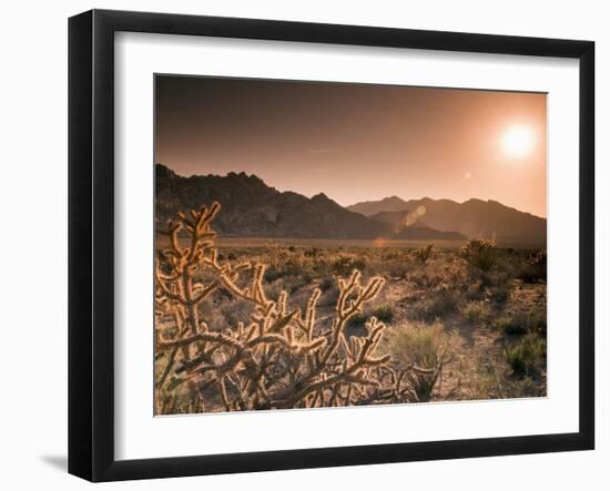 Mojave National Preserve, Granite Mountains in Background, California, USA-Alan Copson-Framed Photographic Print