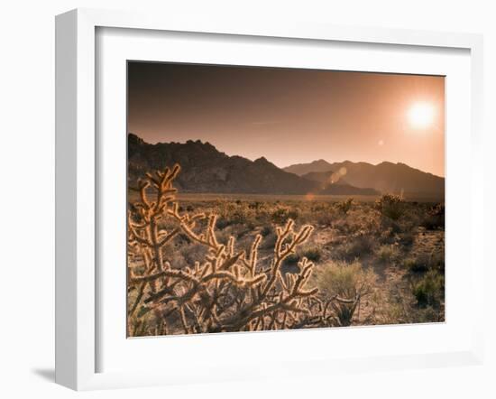 Mojave National Preserve, Granite Mountains in Background, California, USA-Alan Copson-Framed Photographic Print