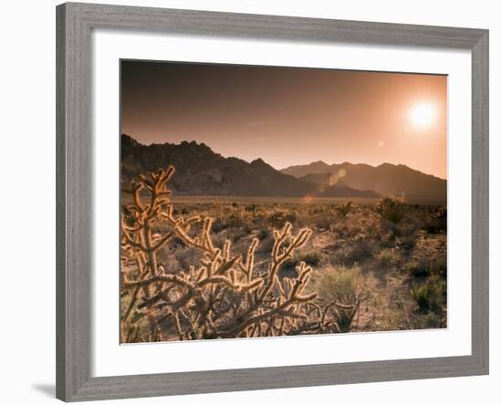 Mojave National Preserve, Granite Mountains in Background, California, USA-Alan Copson-Framed Photographic Print