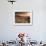 Mojave National Preserve, Granite Mountains in Background, California, USA-Alan Copson-Framed Photographic Print displayed on a wall