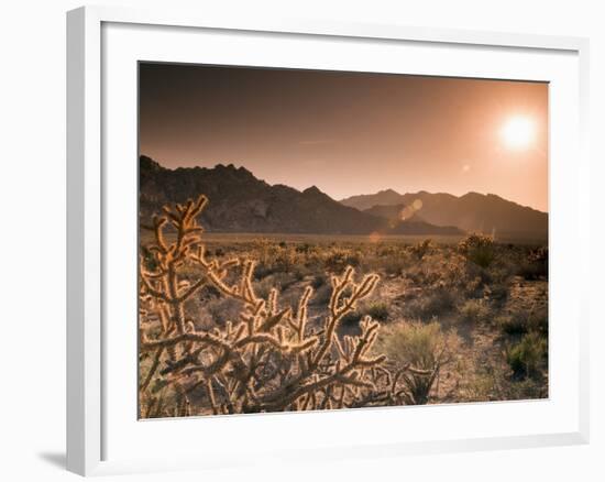 Mojave National Preserve, Granite Mountains in Background, California, USA-Alan Copson-Framed Photographic Print