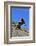 Mojave Rattlesnake (Crotalus Scutulatus) Mojave Desert, California, June-Daniel Heuclin-Framed Photographic Print