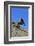 Mojave Rattlesnake (Crotalus Scutulatus) Mojave Desert, California, June-Daniel Heuclin-Framed Photographic Print