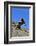 Mojave Rattlesnake (Crotalus Scutulatus) Mojave Desert, California, June-Daniel Heuclin-Framed Photographic Print