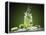 Mojito Cocktail With Splash And Ice-Jag_cz-Framed Premier Image Canvas