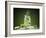 Mojito Cocktail With Splash And Ice-Jag_cz-Framed Photographic Print